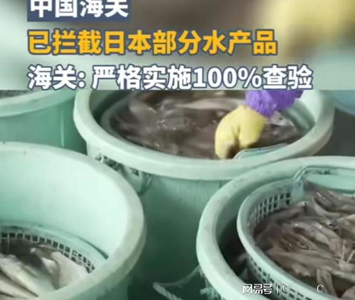 中國海關強化對日本水產品進口監(jiān)管，日本媒體高度關注農產品安全議題