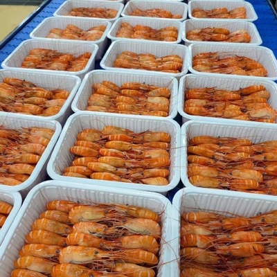 全膏羅氏蝦 水產品中的營養(yǎng)瑰寶與餐桌新寵