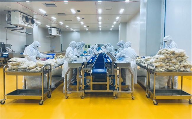 萬緯青島榴蓮超級工廠正式開倉 攜手客戶共筑高效、韌性農產品供應鏈生態(tài)